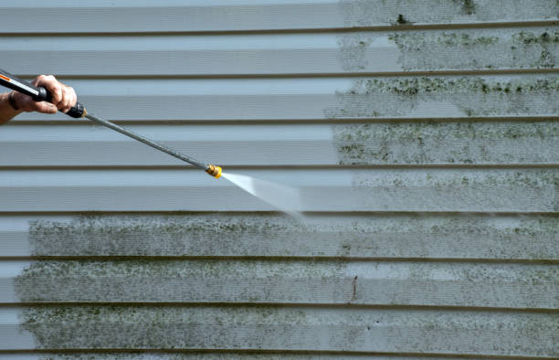 Best Exterior Home Cleaning  in Monmouth, IL